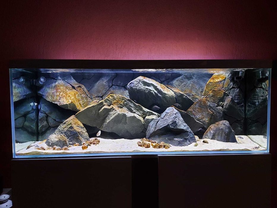 Aquário c/ móvel 150x50x55 + Background 3D Aquadecor + Fluval FX6