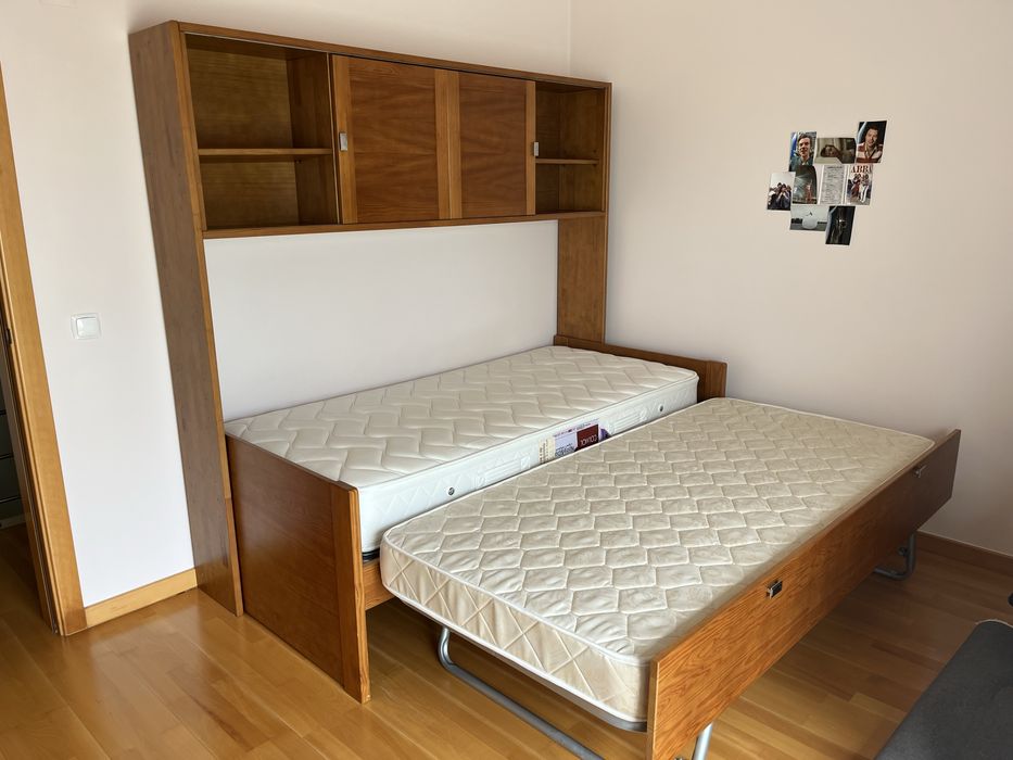 Estudio de Solteiro