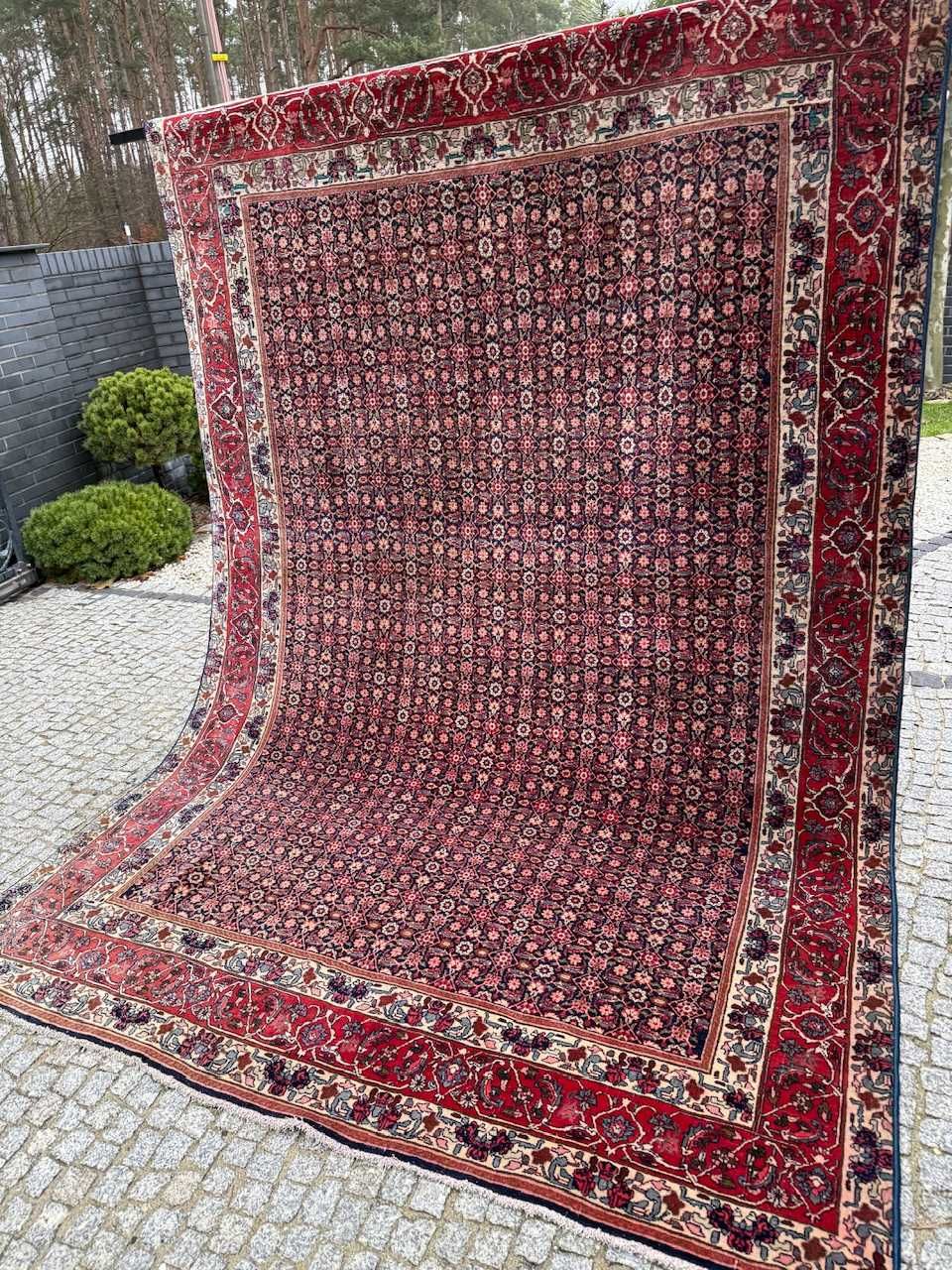 Dywan kaszmirowy perski r. tkany Iran Bidjar 330x220 galeria 26 tys