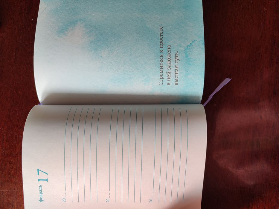 Магический дневник на 3 года. Мари Кондо