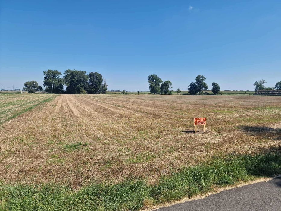 Sprzedam ziemię rolną  – 1,6058 ha. Leszno, gmina Grabów, woj. łódzkie