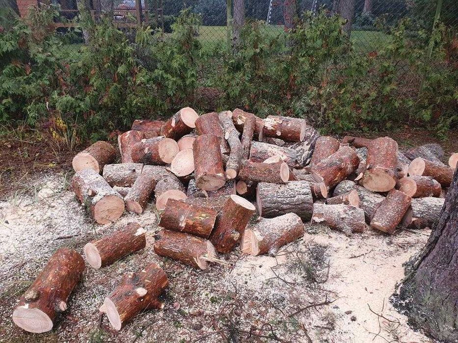 drewno opałowe opał sosna świerk daglezja modrzew orzech brzoza