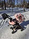 Cybex Mios Spring Blossom Light