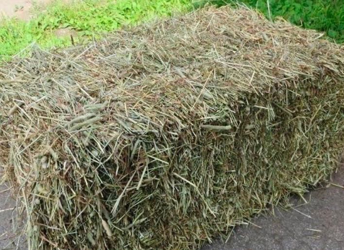 Продам сіно та солому