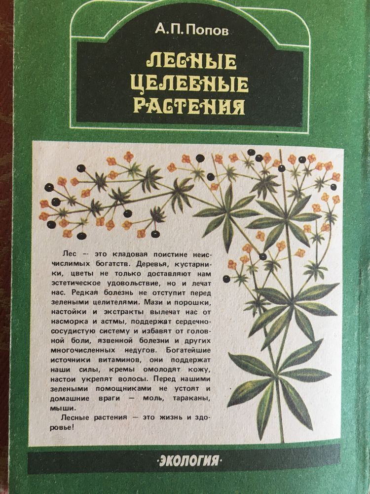 Книга Лесные целебные растения