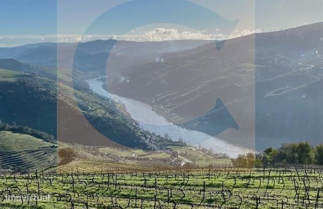 Quinta Região Demarcada do Douro (COM CASA PARA RECONSTRUÇÃO)