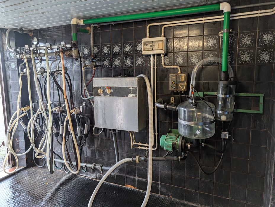 Dojarka przewodowa Westfalia (GEA) oraz zbiornik na mleko 1250l