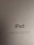 Ipad 7 2019 (не включается)