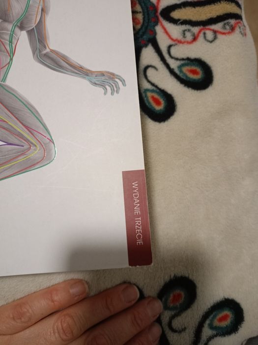 Książka Taśmy anatomiczne Thomas W. Myers