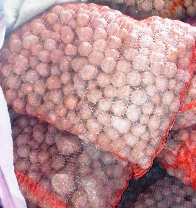 ziemniaki drobne Bellarosa i Tajfun