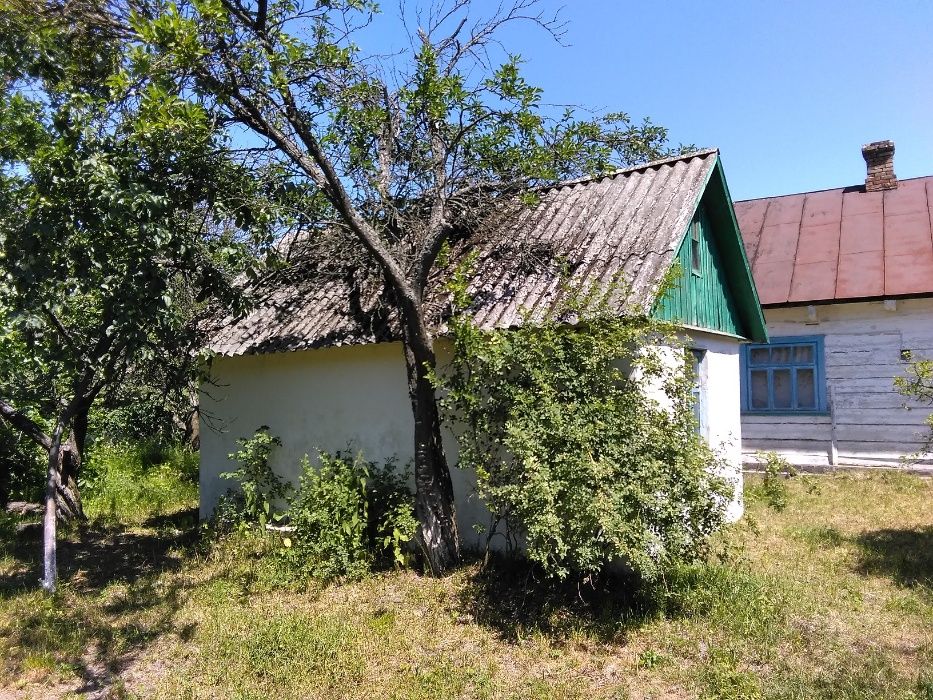 Земельна ділянка з будівлями від власника Світязь