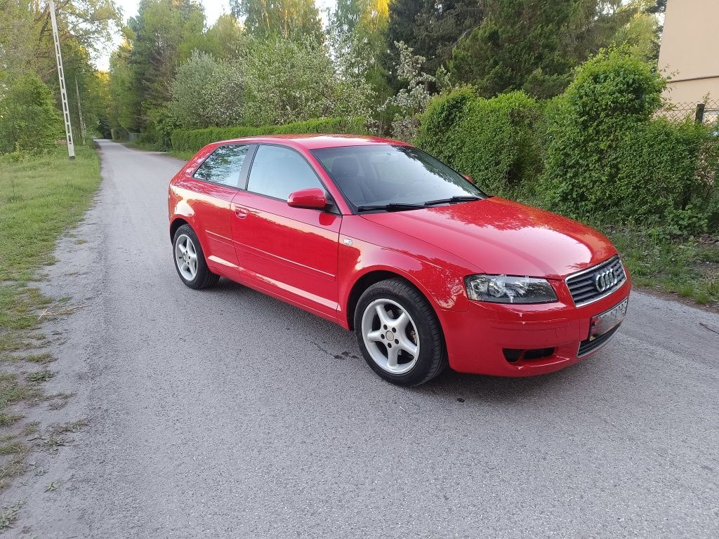 Audi A38P 1.6 MPI 2008r