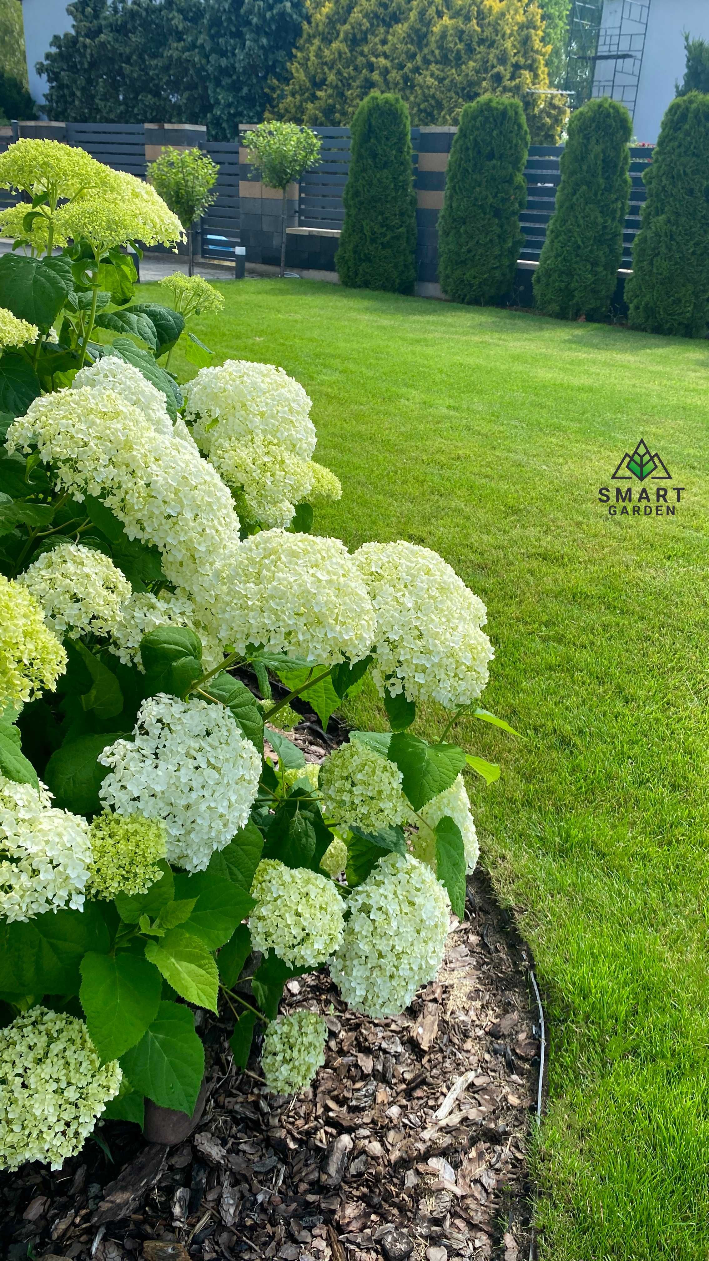 OGRODY - Trawniki - Automatyczne NAWADNIANIE 2025 - SMART GARDEN
