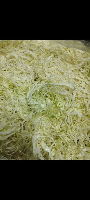 Kapusta  szatkowana kiszona              .