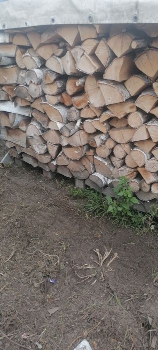 Drzewo kominkowe łupane brzozowe