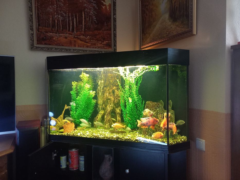 Ремонт акваріума.