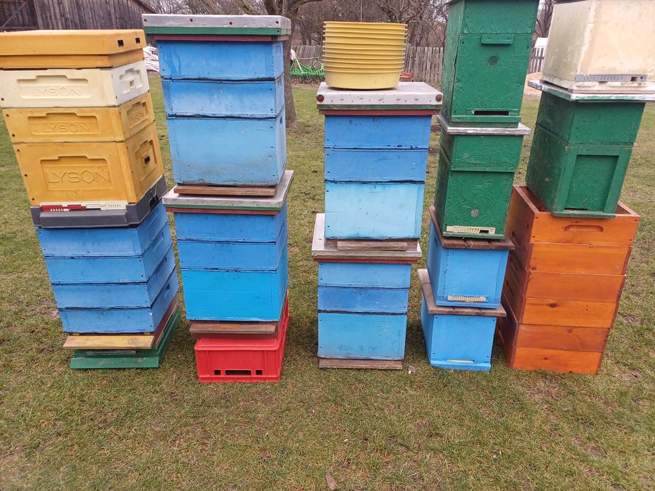 Ule wielkopolskie 10 ramkowe, Ule odkładowe wielkopolskie 6 ramkowe