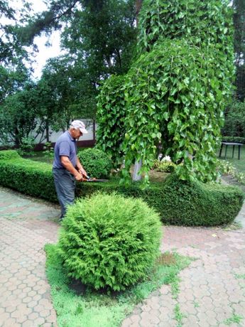 Профессиональный садовник. Буча, Киев и область