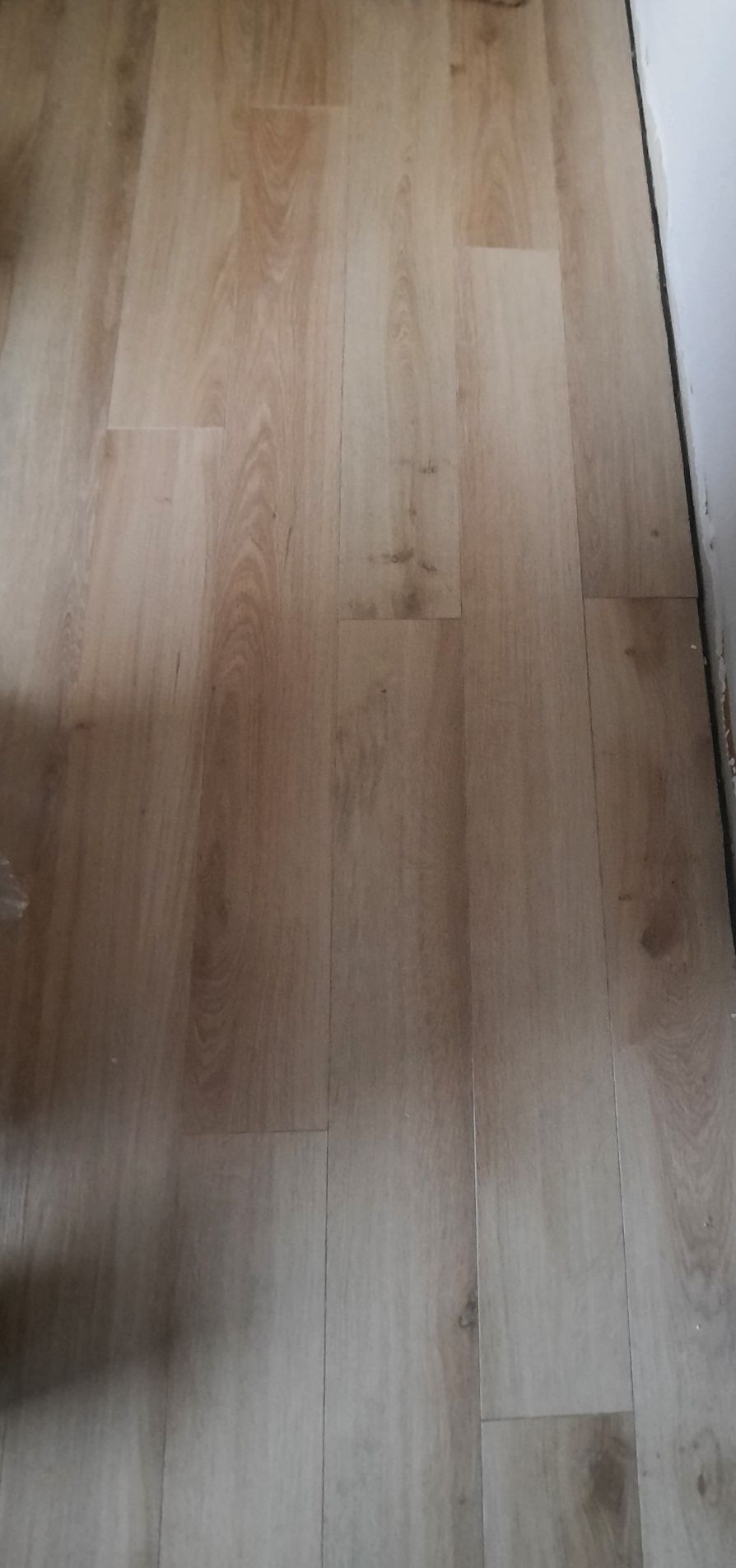 Panel podłogowy dąb jasny całpść 10m2+ listwy gratis okazja!