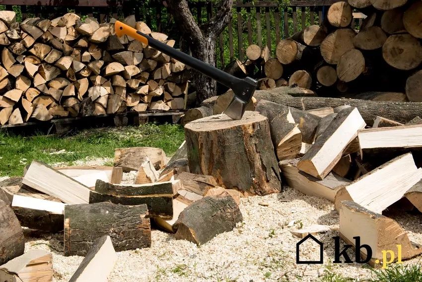 Zrzucenie węgla rąbanie drzewa