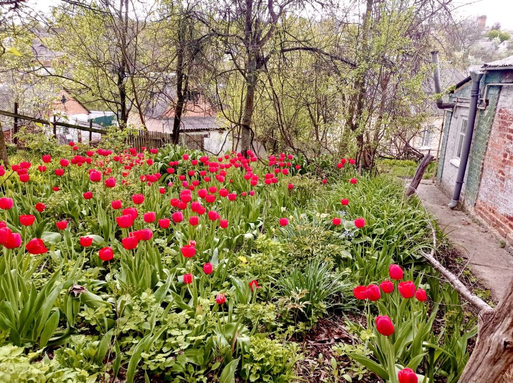Будинок в Богуславі! 10 хв ходу до центру!
