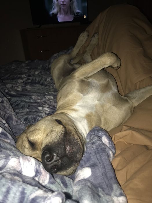 Стафф ищет девочку)))