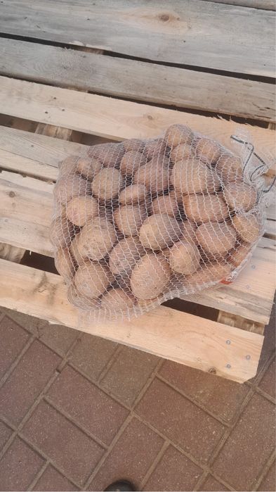 Ziemniaki Irga Kaliber powyżej 5