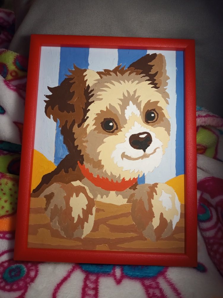 Картина собака йоркширський тер'єр