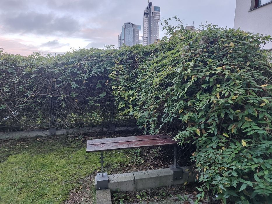 Mieszkanie 2 pokojowe Gdynia Centrum