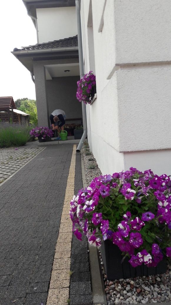 Apartament, noclegi, pokoje z łazienkami Ustka