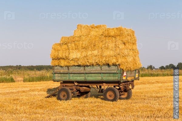 продам сіно в тюках