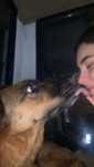 Pet sitting ao seu dispor!