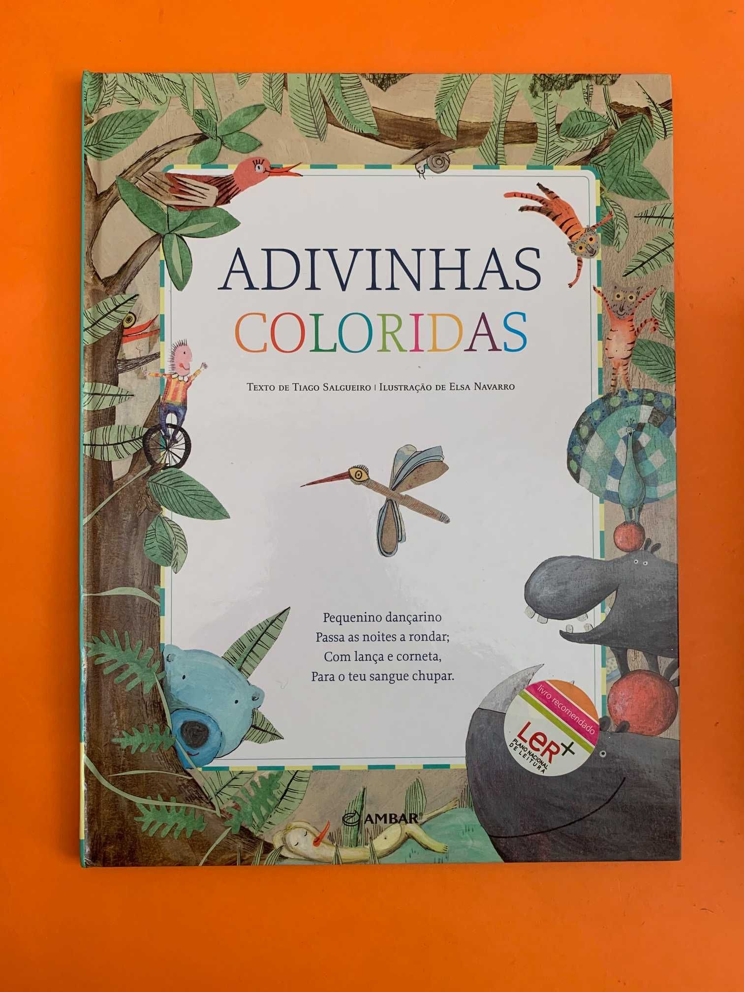 Advinhas Coloridas - Tiago Salgueiro