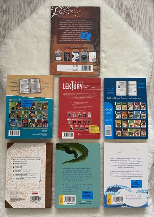 Zestaw lektur szkolnych – idealny do szkoły podstawowej i średniej!