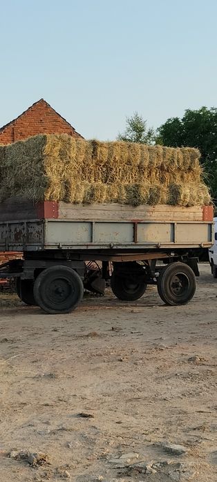Siano kostka pod dachem