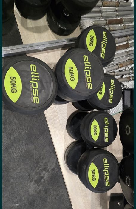 Haltres de ginásio pro