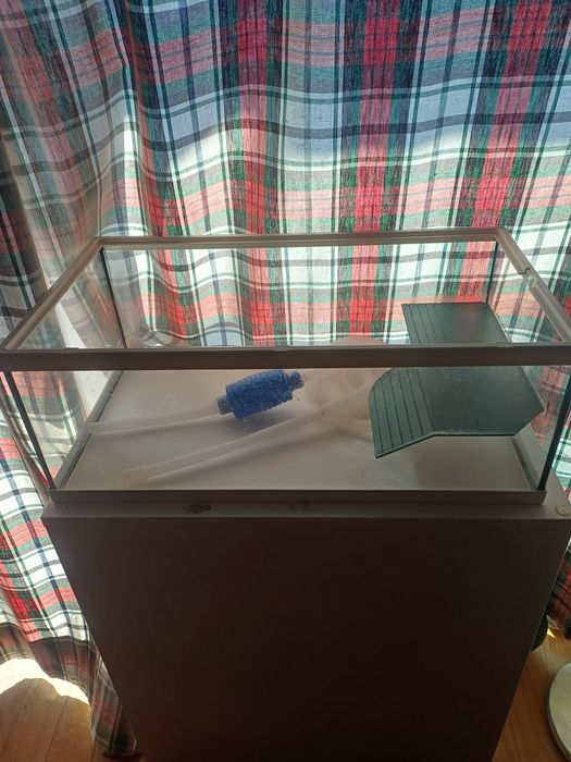 Aquário para tartaruga