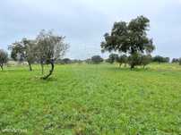 Terreno  para venda