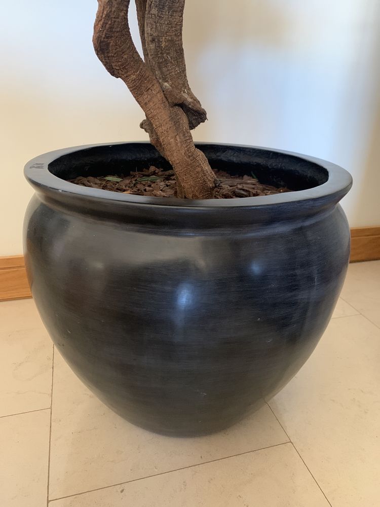 Planta Artificial - Podocarpus com Vaso decorativo