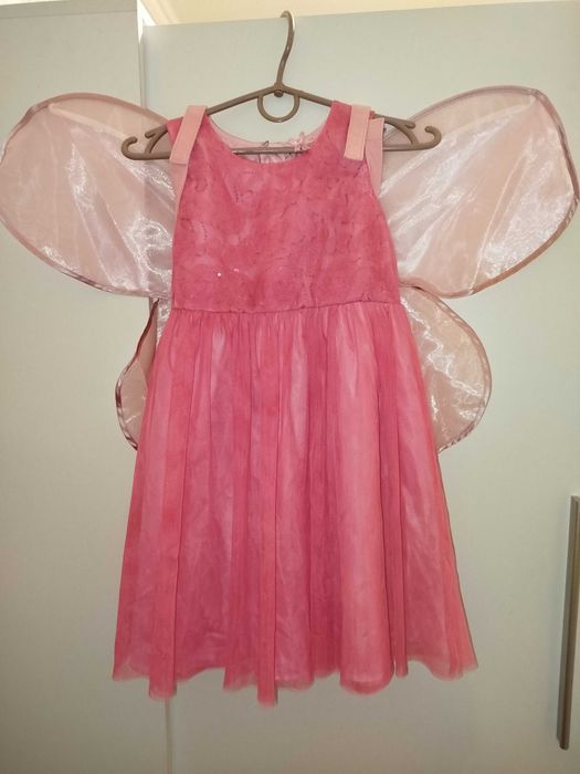 Плаття з крилами, костюм метелика