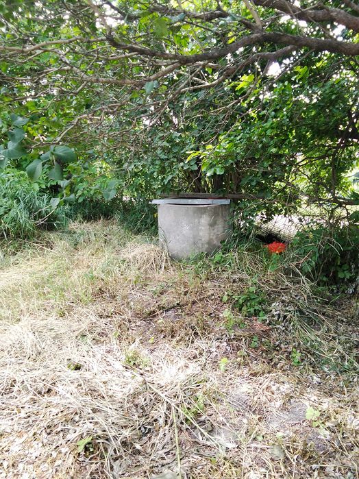 Продам дім і ділянки