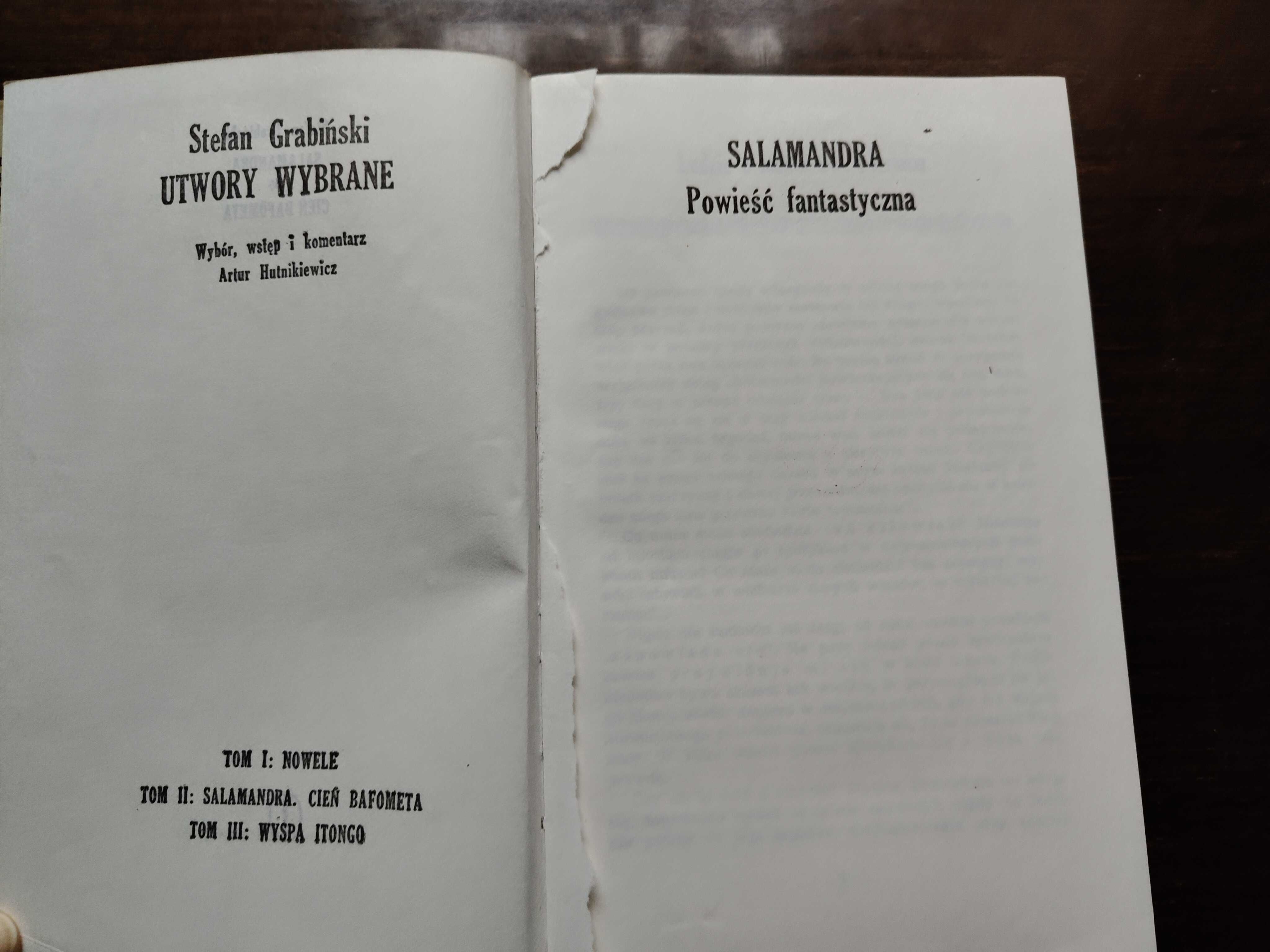 Salamandra. Cień Bafometa- Stefan Grabiński