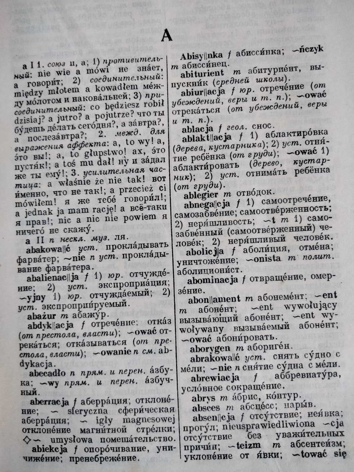 Словники польські, англійський