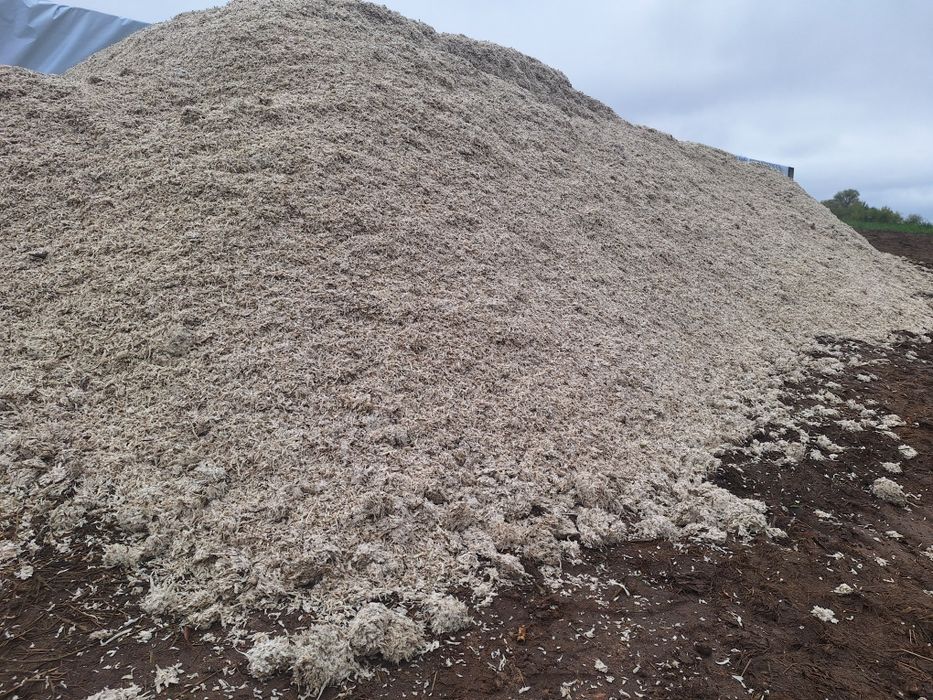 Wysłodki buraczane mokre korzonki buraczane szybka dostawa