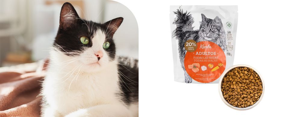 Karma Sucha Dla Kotów Dorosłych Smak Kurczaka 800 G Kimba