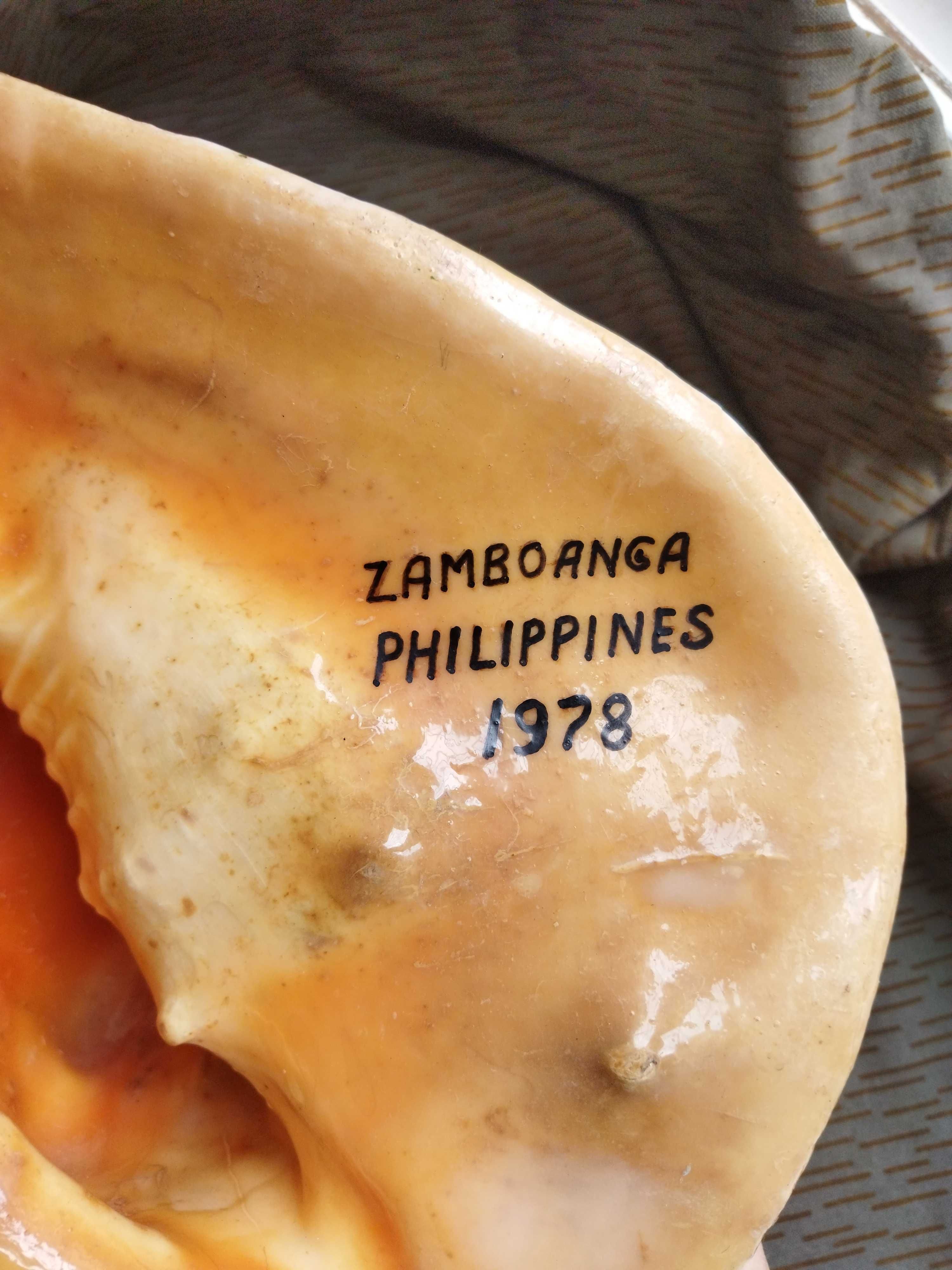 Ракушка океаническая (33 см!), Филиппины, 1978г