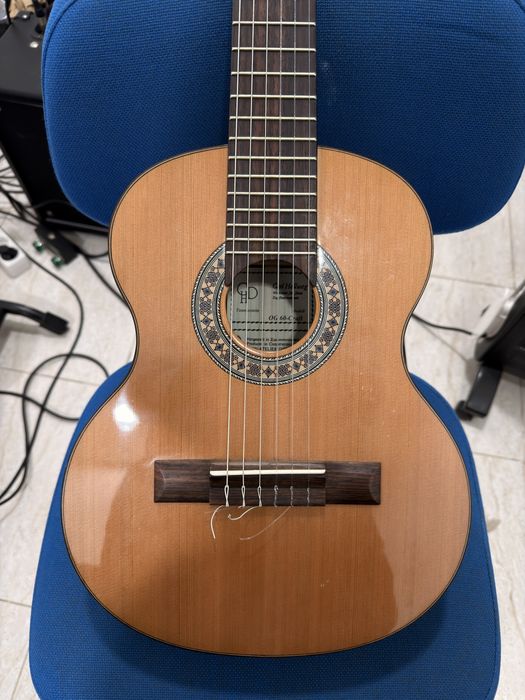 Guitarra Luthier Oitavada - Carl Hellweg OG60