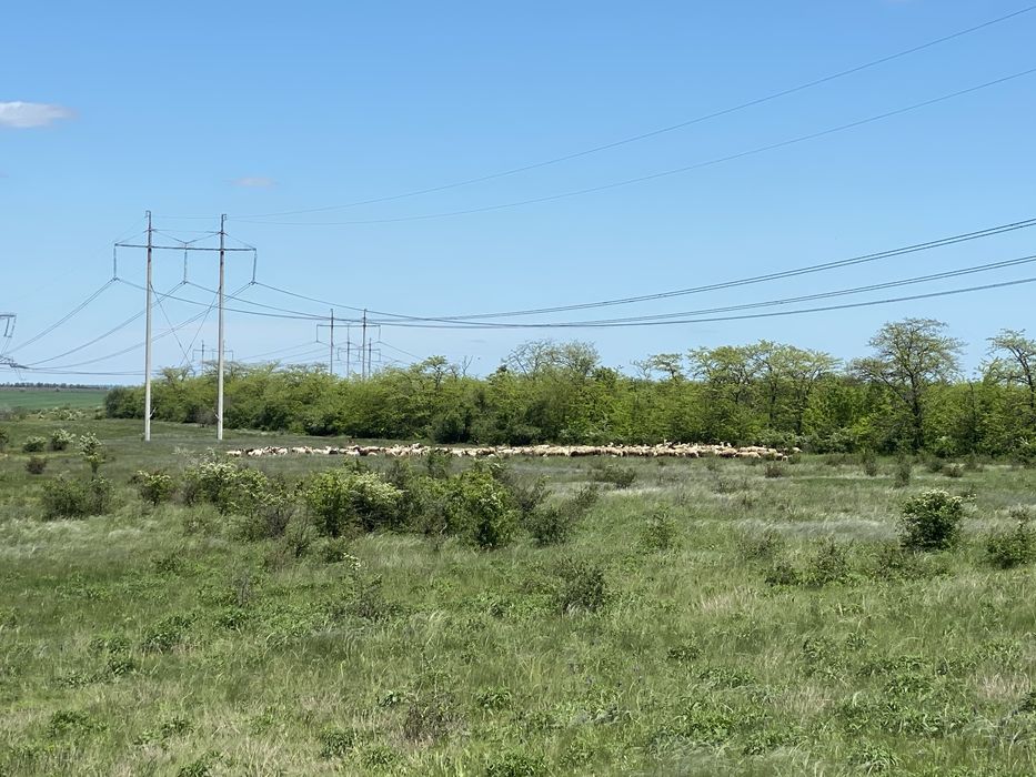 Власник,Інвестиційна ділянка біля Одеси! 70 соток, перша лінія лиману.