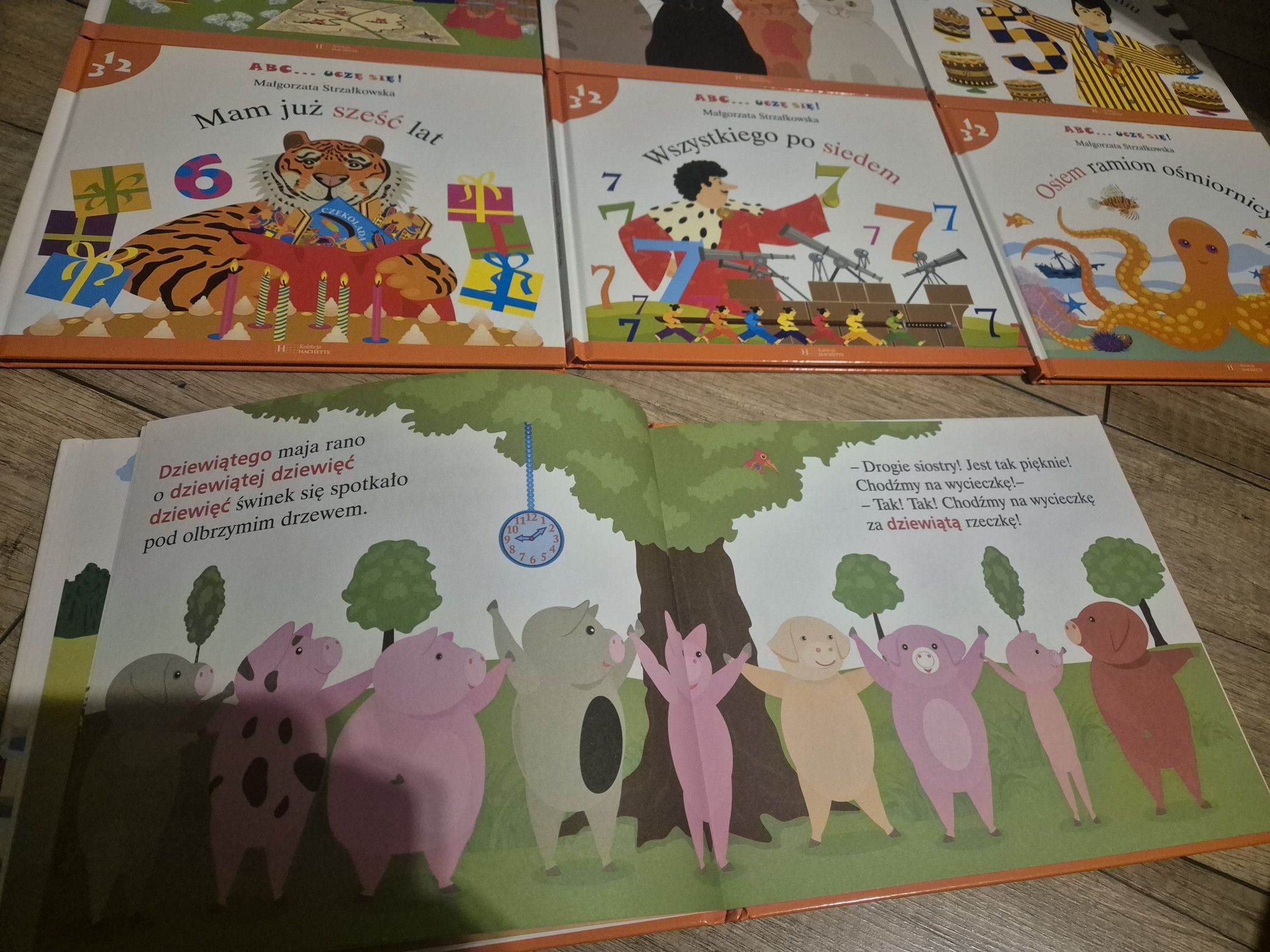 Zestaw 26 książeczek tematyka różna