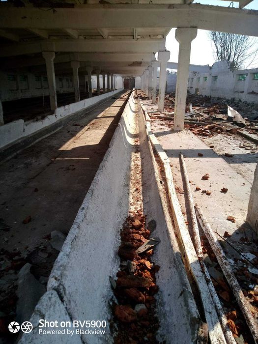 Шифер бу. хорошего качества 6, 8 волнволн